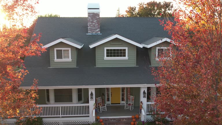 Best Flat Roofing  in Dolton, IL